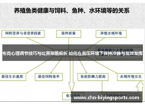 布克心理调节技巧与比赛策略解析 如何在高压环境下保持冷静与高效发挥