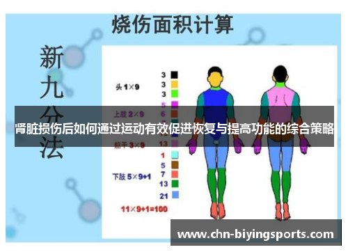肾脏损伤后如何通过运动有效促进恢复与提高功能的综合策略