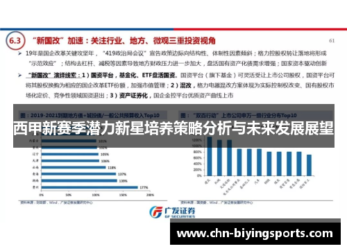 西甲新赛季潜力新星培养策略分析与未来发展展望