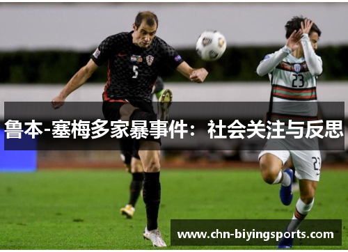 鲁本-塞梅多家暴事件：社会关注与反思